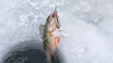 Ice Fishing Tips & Techniques