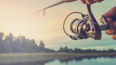 How to Choose the Right Fishing Reel