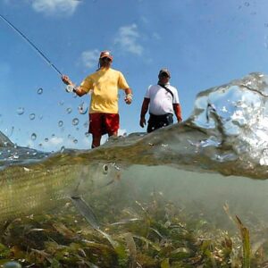 Sport Fishing in Venezuela