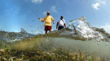 Sport Fishing in Venezuela