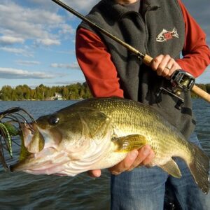 The Best Techniques for Catching Bass Fish
