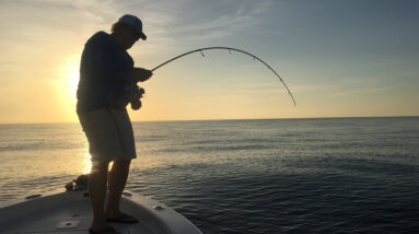 The Complete Guide to Saltwater Fishing