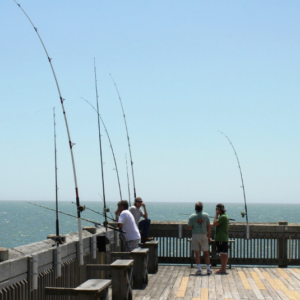 The Essentials of Pier Fishing