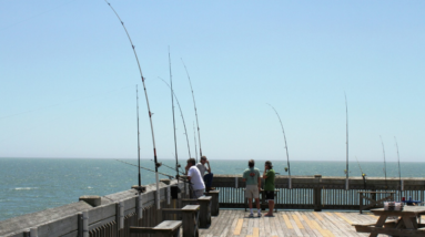 The Essentials of Pier Fishing