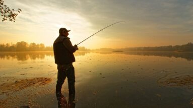 What Time Is the Best Time to Go Fishing