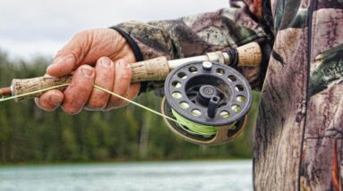10 Important Fishing Tips For Starters