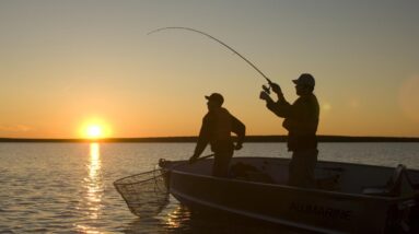 Essential Advice For Fishing Tips for New Anglers
