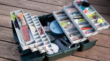 How to Choose the Right Tackle Box