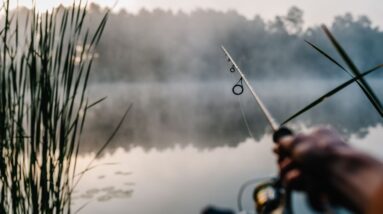 How to Set Up a Fishing Rod for Freshwater Fishing
