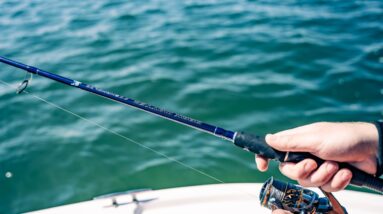 How to Set Up a Fishing Rod for Saltwater Fishing