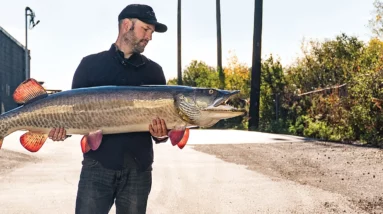 The Best Techniques for Catching Muskie