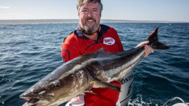 The Ultimate Guide to Big Game Fishing