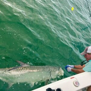 The Ultimate Guide to Tarpon Fishing