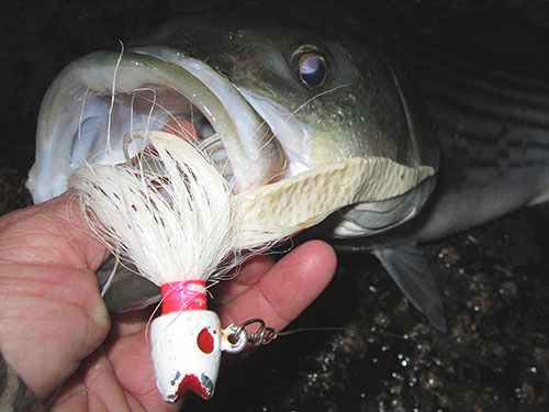 Bucktail jig: The Art of fishing