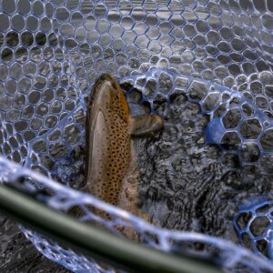 fishpond nets