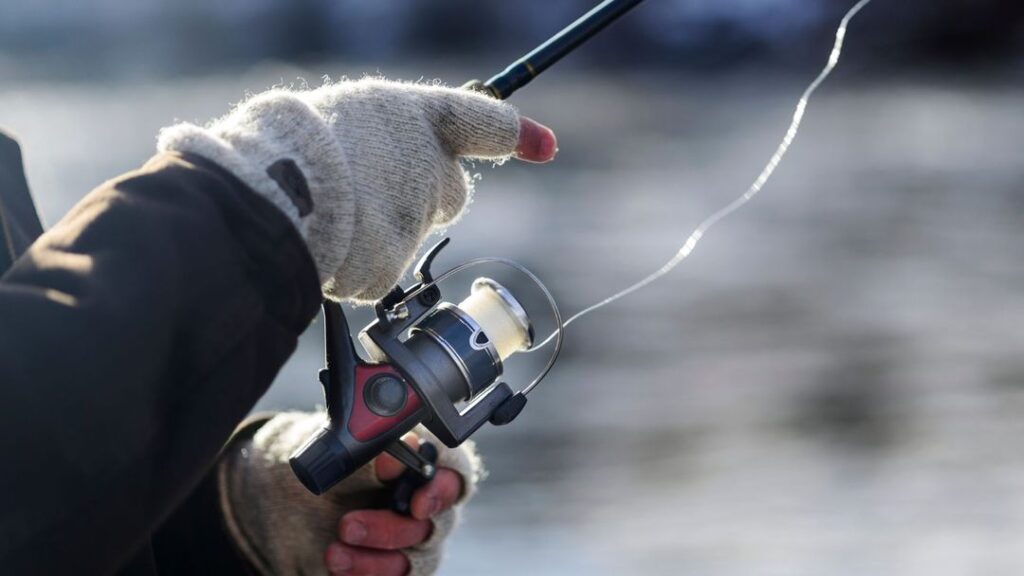   Discover the perfect fishing gloves 