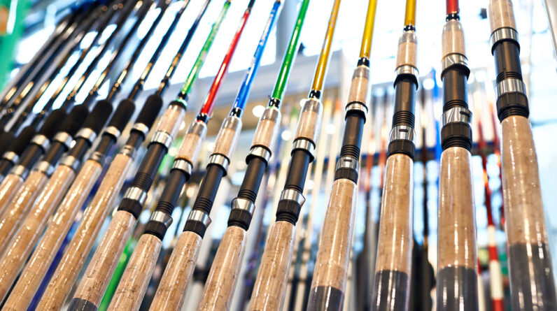 The Best Fishing Rods