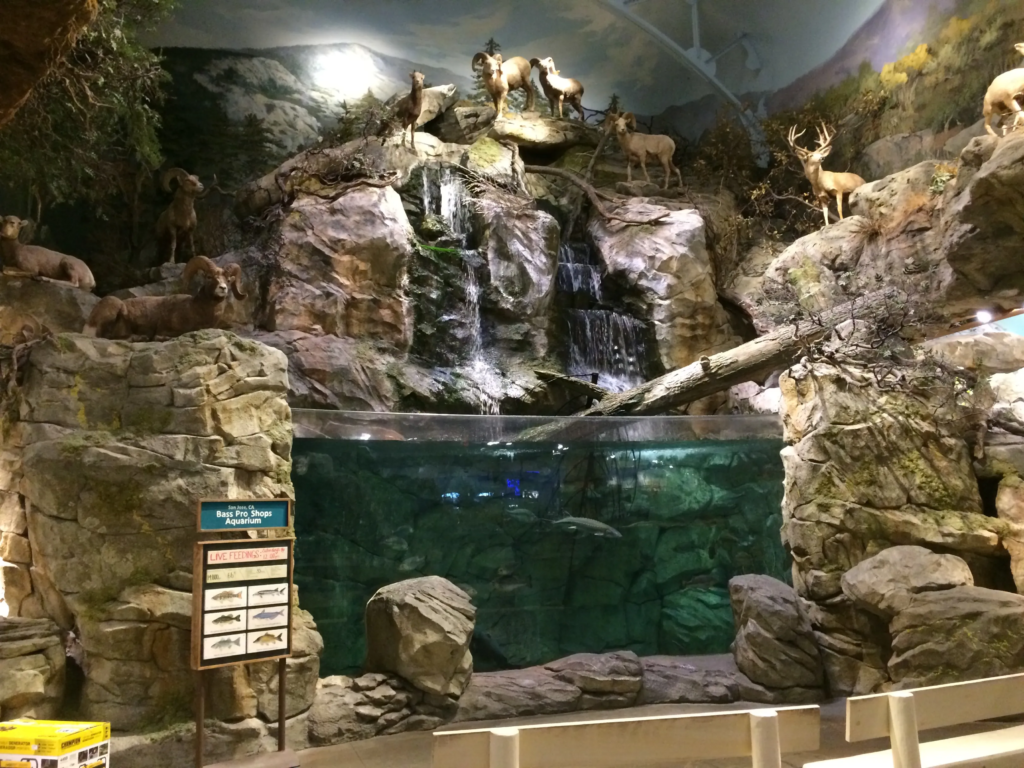 bass pro shops