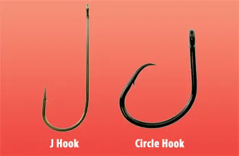 Circle Hooks vs. Regular Hooks