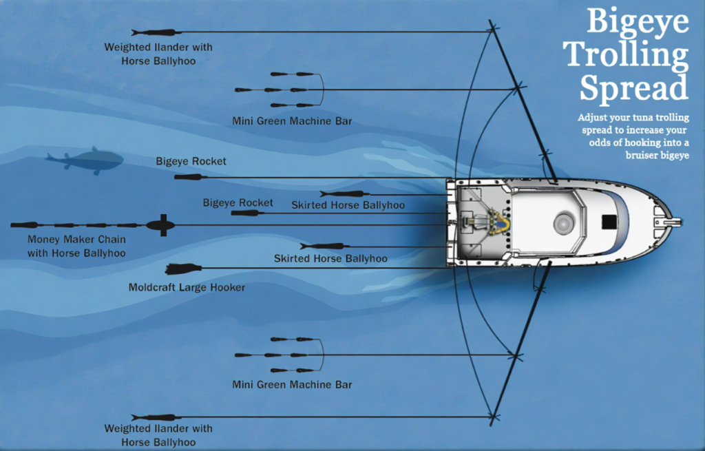 trolling for tuna