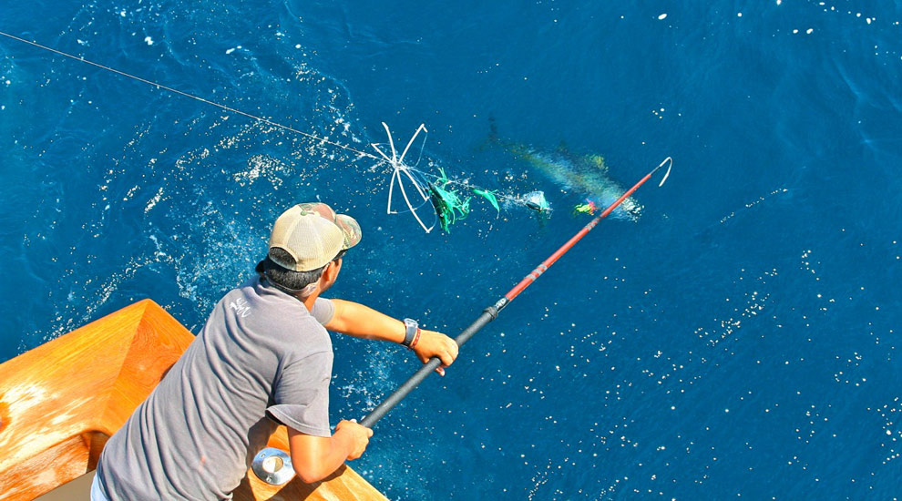 trolling for tuna