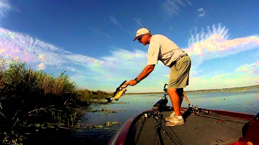 fall bass fishing in florida