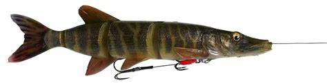 Top 10 Lures for Northern Pike