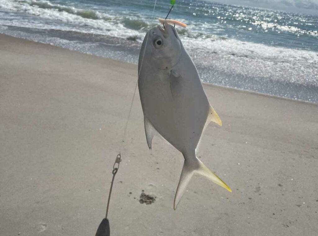 Pompano Fishing Techniques