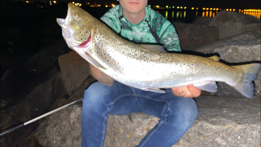 Mastering Sea Trout Fishing