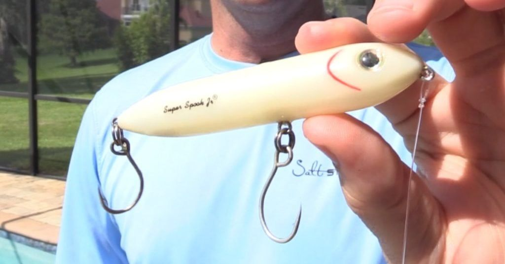  Artificial Lures for Snook Fishing