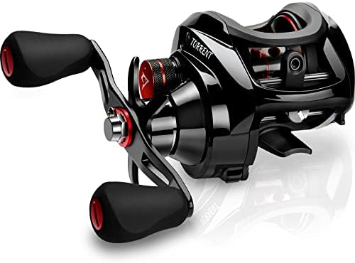 Best Casting Reels for Beginners