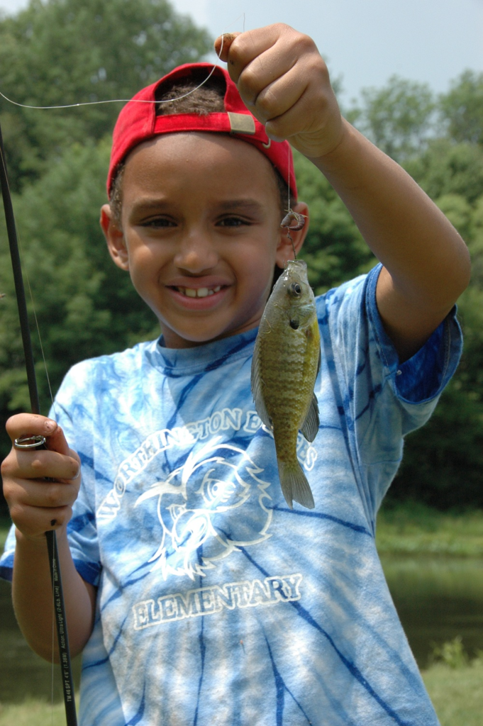 How to Teach Your Kids How to Fish