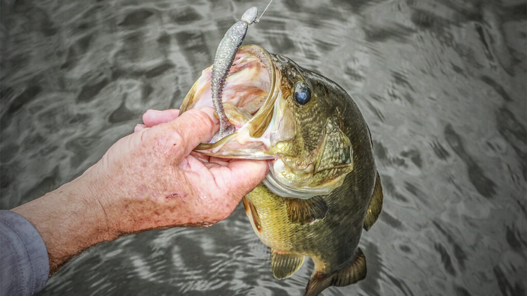 beginner fishing guide