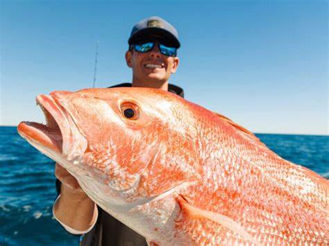 Jigging with the Penn 500L