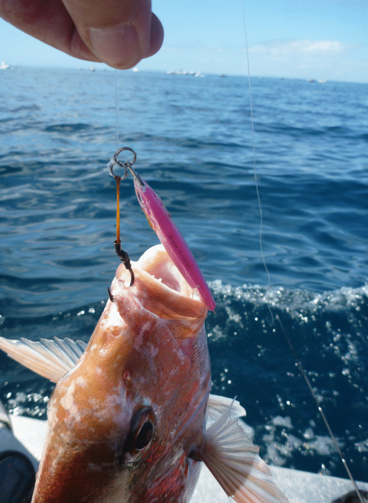 Jigging with the Penn 500L