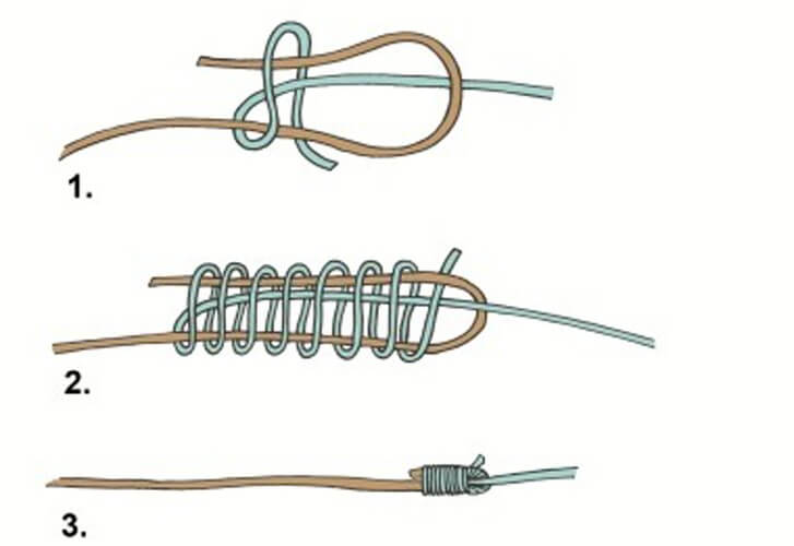 Top 10 Fishing Knots Every Angler Must Master