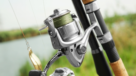 Spinning vs. Baitcasting Reels