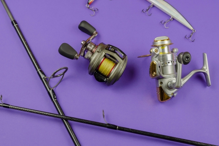 Spinning vs. Baitcasting Reels