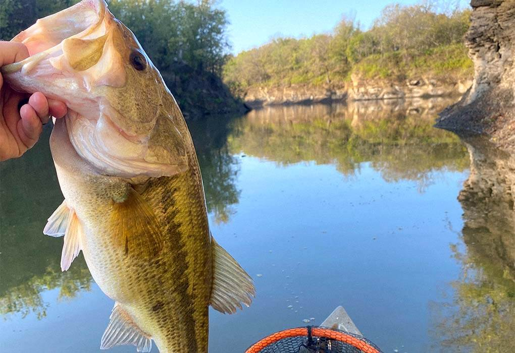 Lures for Bass in Fall 2025