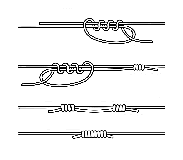 Top 10 Fishing Knots Every Angler Must Master