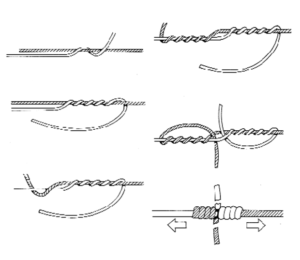 Top 10 Fishing Knots Every Angler Must Master