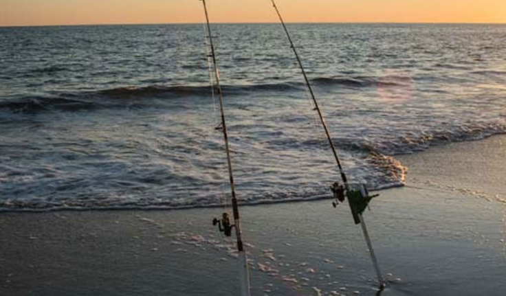 Ultimate Guide to Surf Fishing