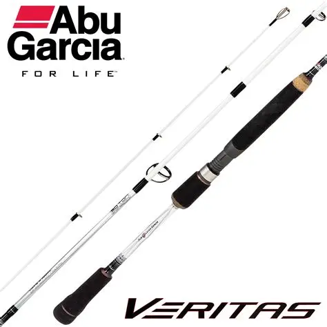 best fishing rods under $100