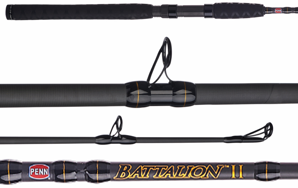 best fishing rods under $100