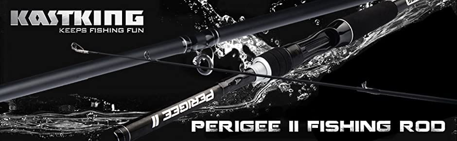 best fishing rods under $100