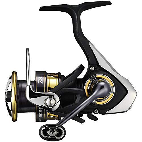 Shimano vs Daiwa