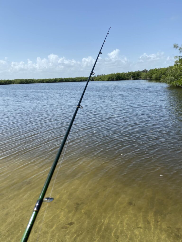 Camping + Fishing Combo Trips