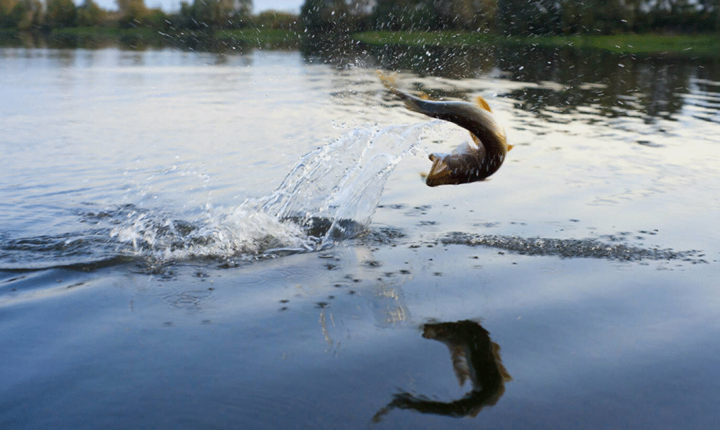 15 Best Fishing Lakes in the USA