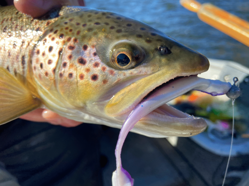 How to Fish with Soft Plastics