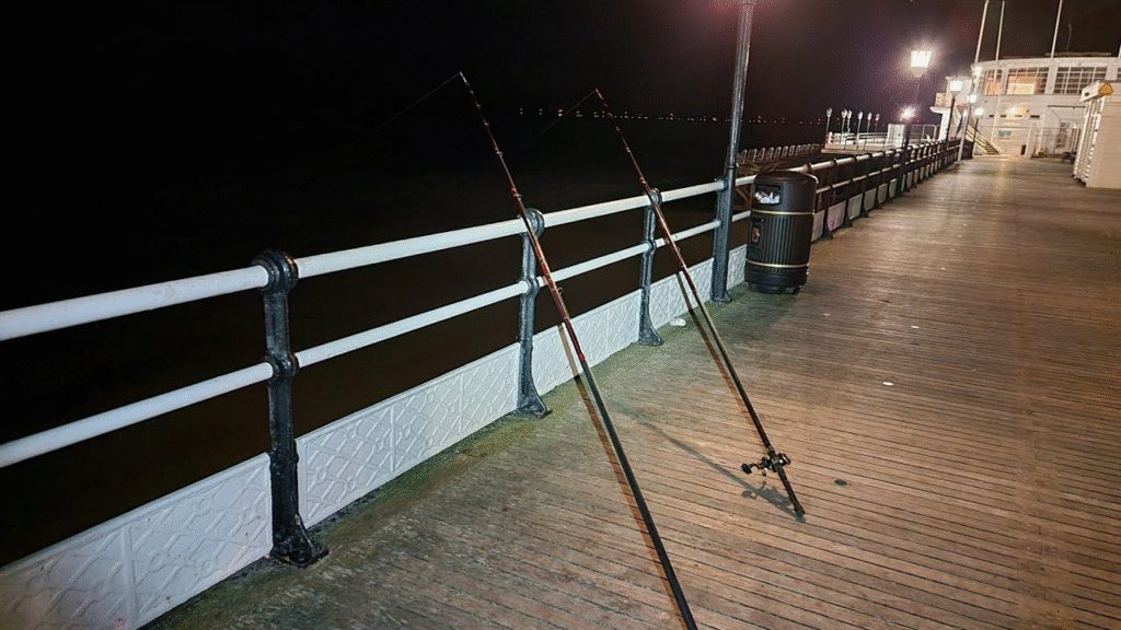 Night Pier/Dock Fishing Guide